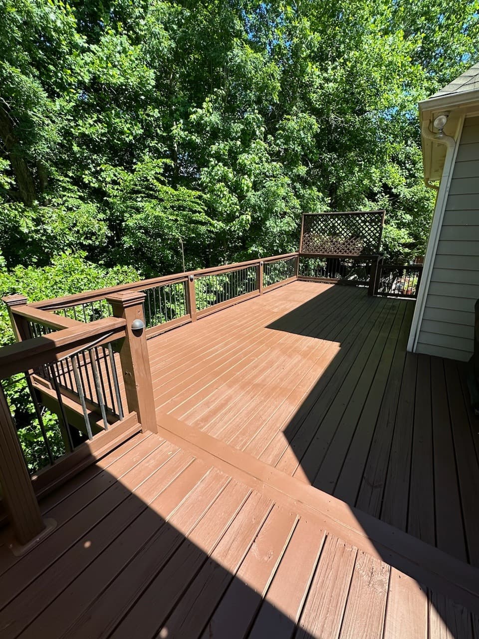 Curved wood deck overlooking trees